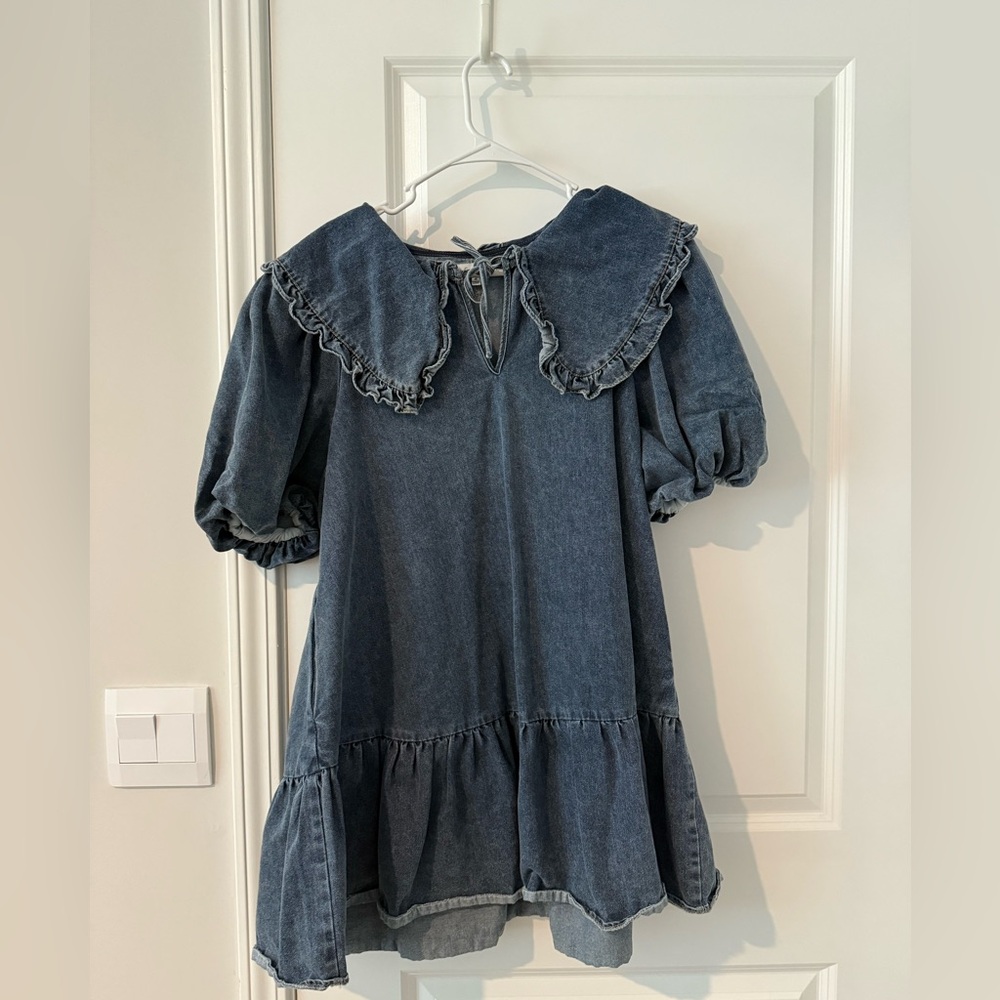 Darling Collared Denim Dress